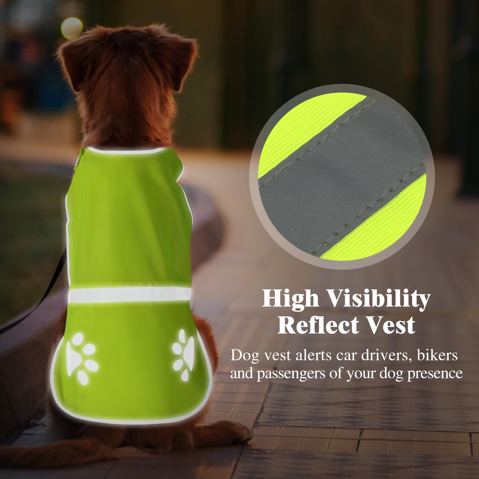 Candofly Reflective Dog Vest, High Visibility Safety Pet Hunting Vest Lightweight Dog Jacket For Night Walking Camping (Neon Gre